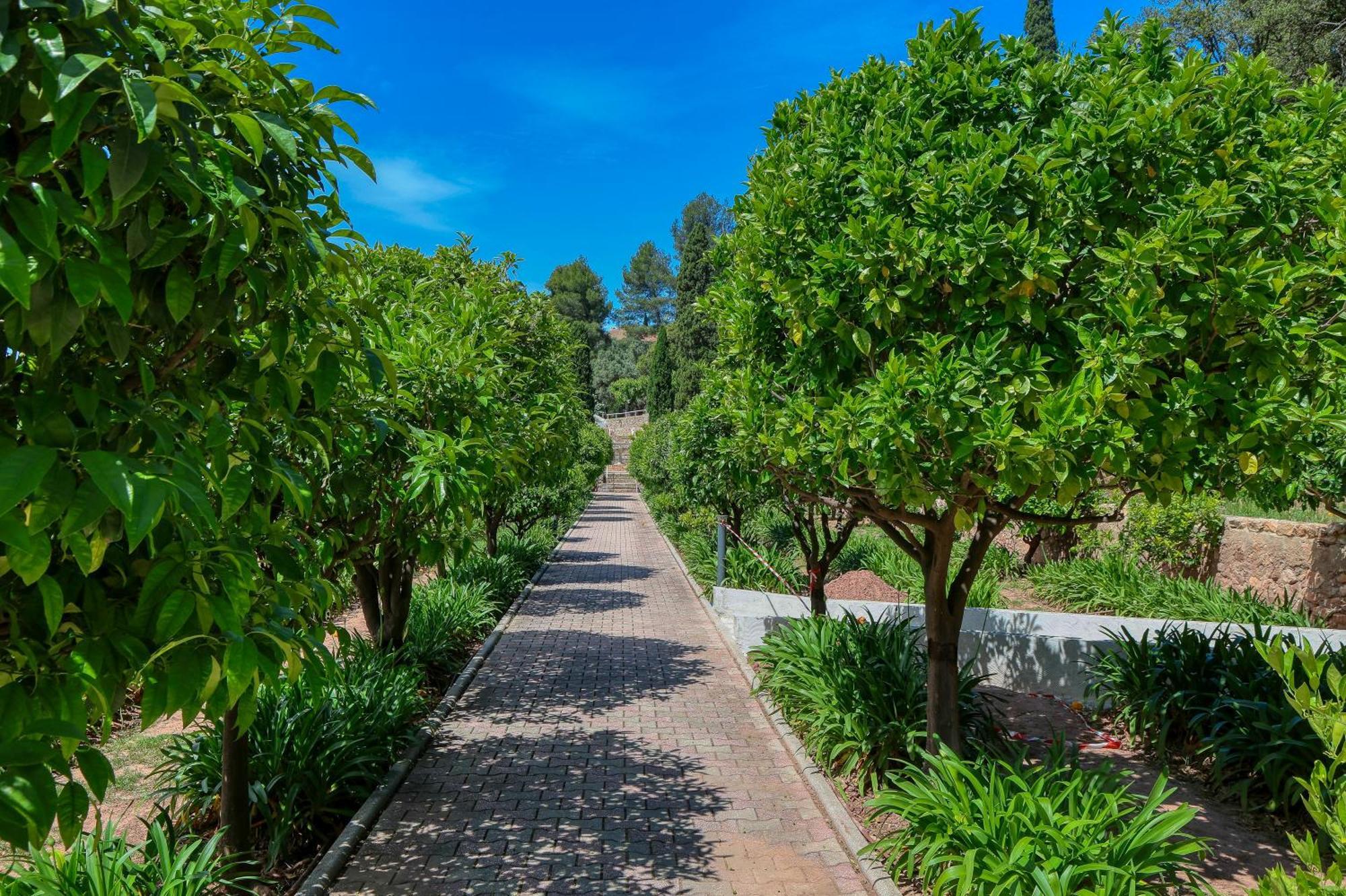Domaine Des Gueules Cassees La Valette-du-Var Kültér fotó