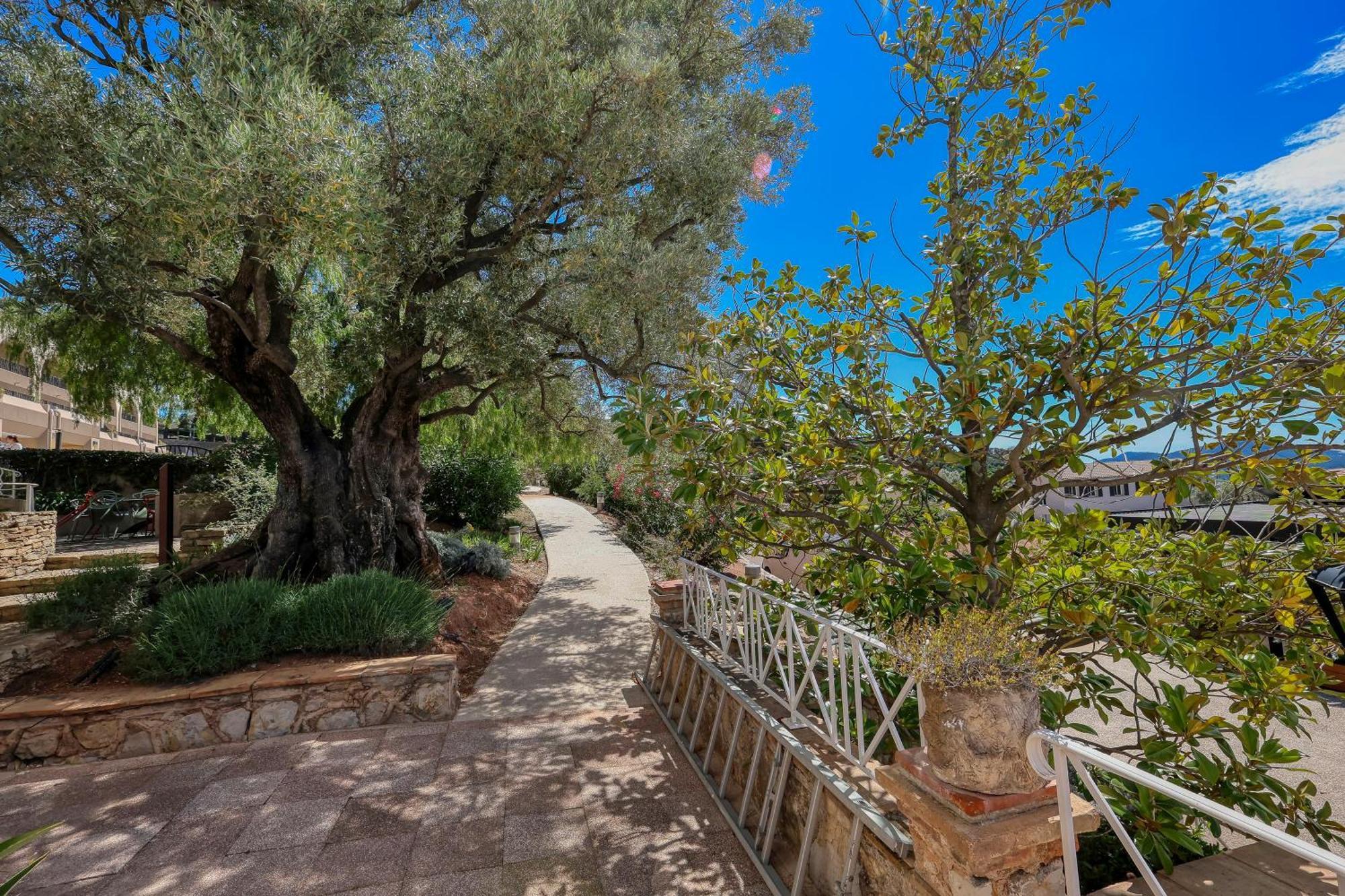 Domaine Des Gueules Cassees La Valette-du-Var Kültér fotó